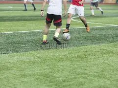 美国,媒体平台大,举引进康维,千亿球友会平台,千亿球友会官方网站,千亿球友会登录入口,千亿球友会app下载