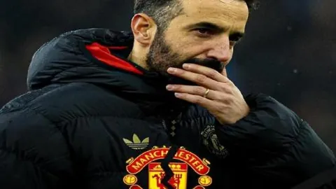 揭秘水手主场战力！关键数据解析，谁能捍卫荣耀之地？