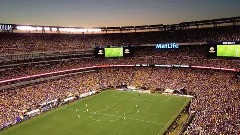 北大官方确认王楚钦秋季研究生入学，回应称已录取